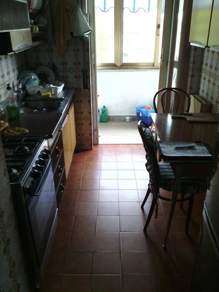  pisa affitto quart: pratale megaron immobiliare - pisa - pontedera - livorno - lucca