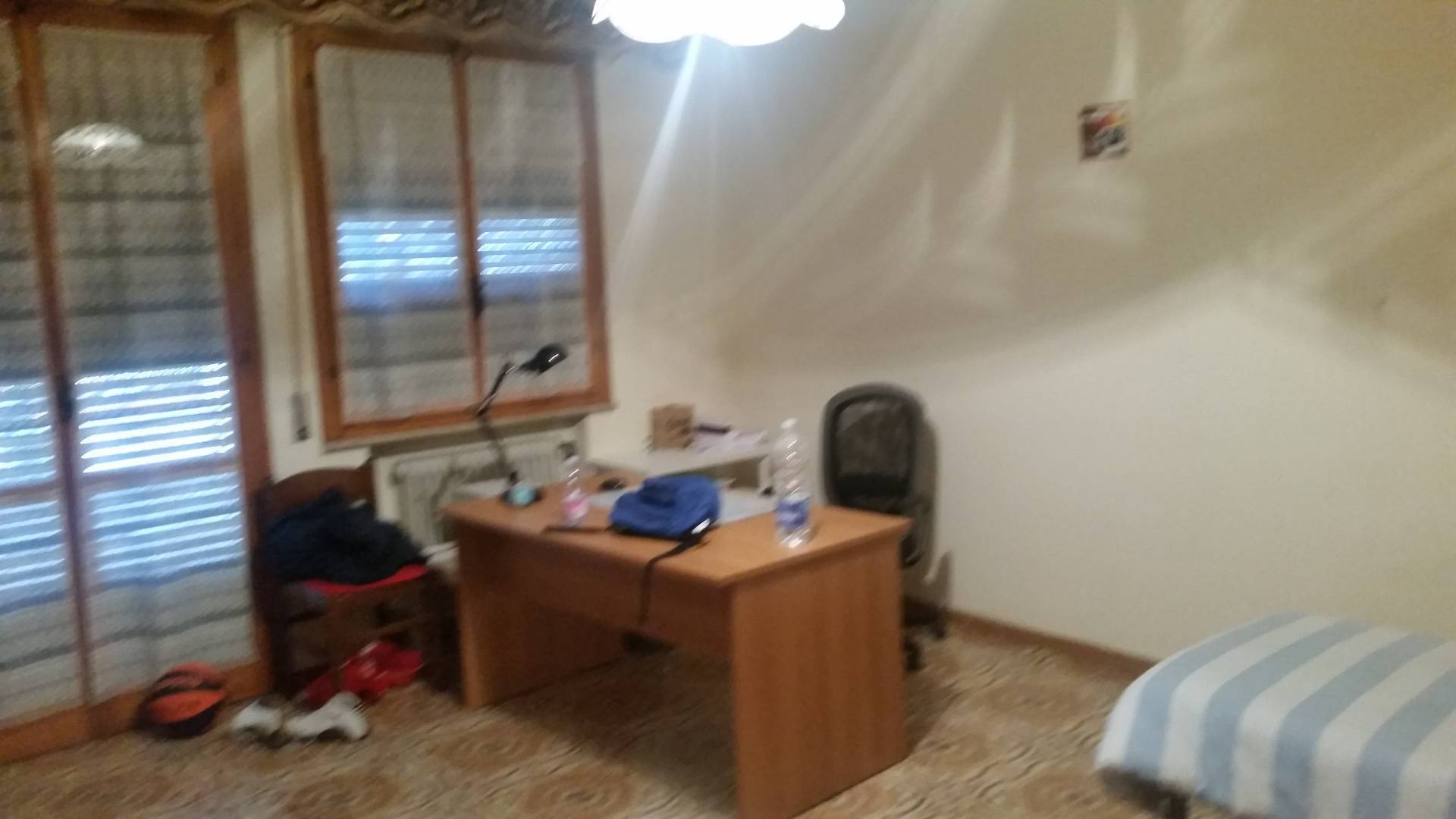  pisa affitto quart: porta a lucca megaron immobiliare - pisa - pontedera - livorno - lucca