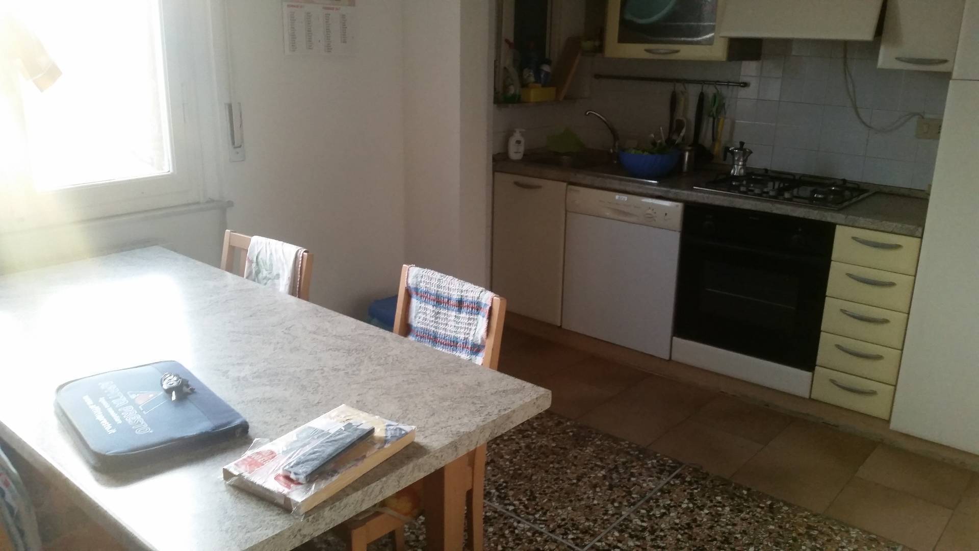  pisa affitto quart: porta a lucca megaron immobiliare - pisa - pontedera - livorno - lucca