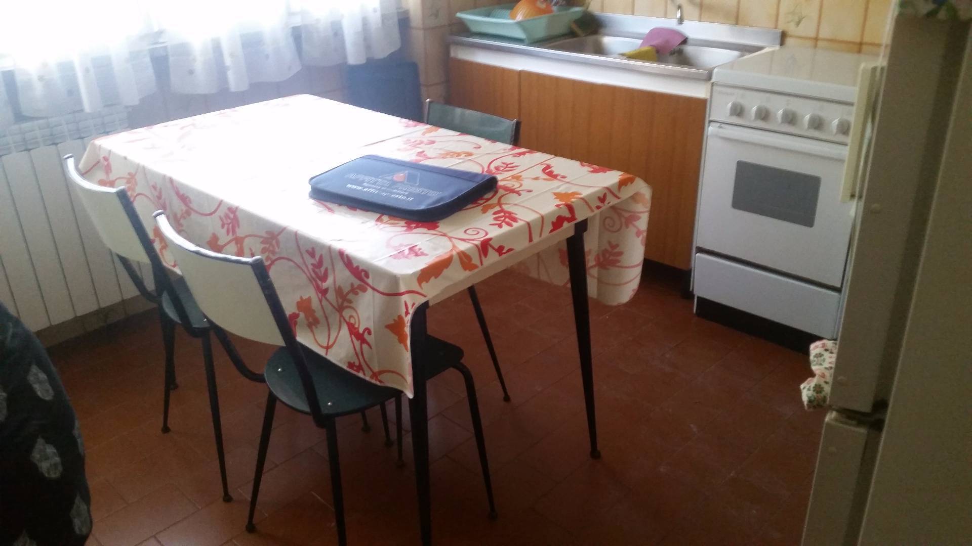  pisa affitto quart: porta a lucca megaron immobiliare - pisa - pontedera - livorno - lucca