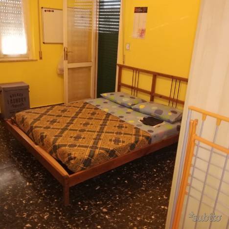  pisa affitto quart: pratale megaron immobiliare - pisa - pontedera - livorno - lucca