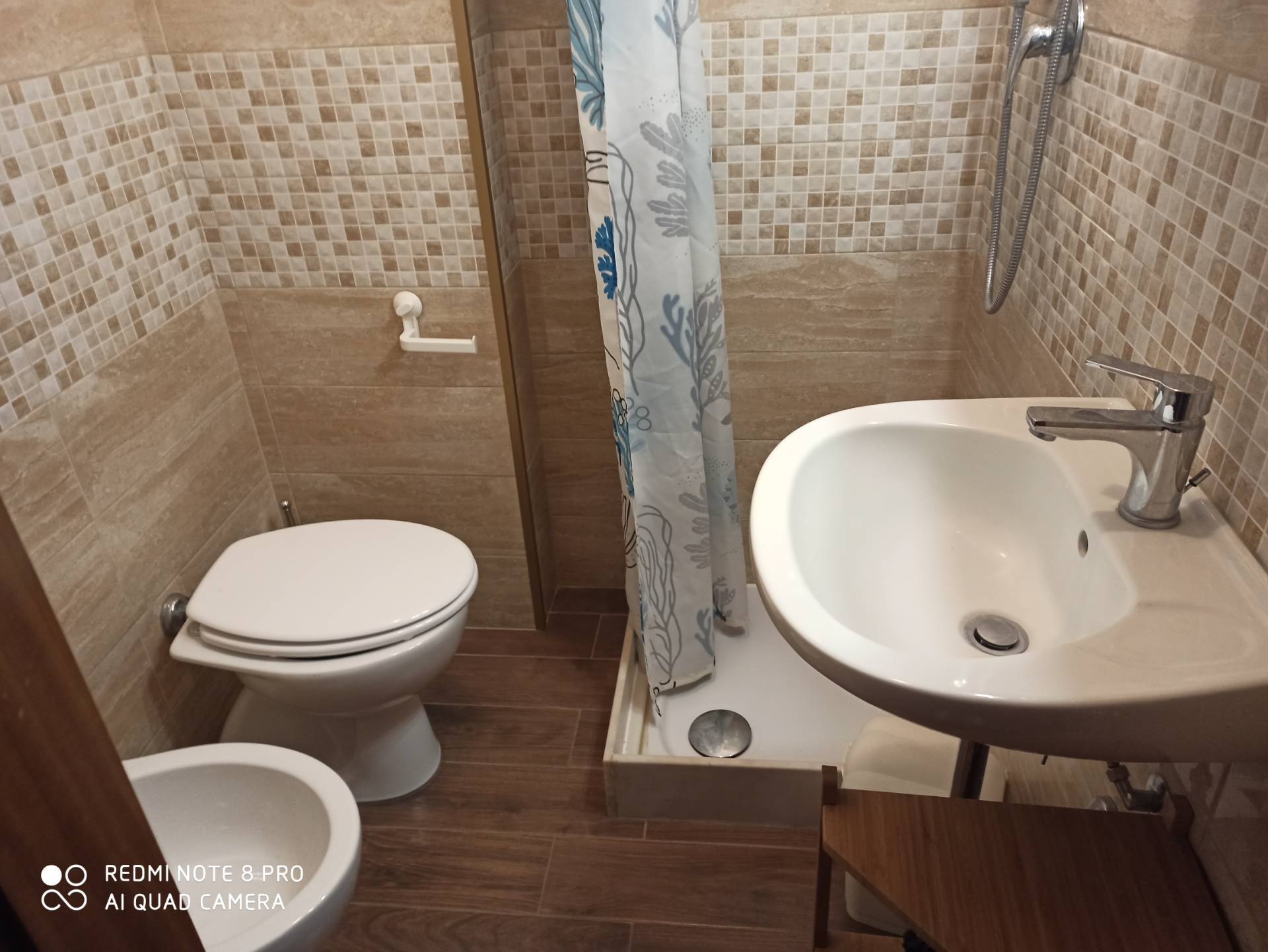 Villa Unifamiliare - Indipendente PISA affitto  Cisanello  Megaron Immobiliare - Pisa - Pontedera - Livorno - Lucca
