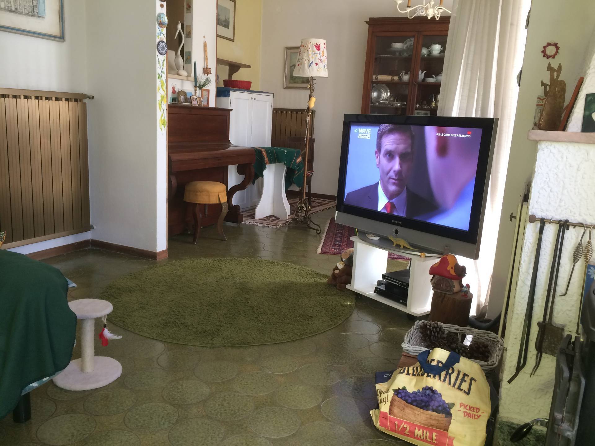 Villa Unifamiliare - Indipendente SAN GIULIANO TERME affitto  Gello  Megaron Immobiliare - Pisa - Pontedera - Livorno - Lucca