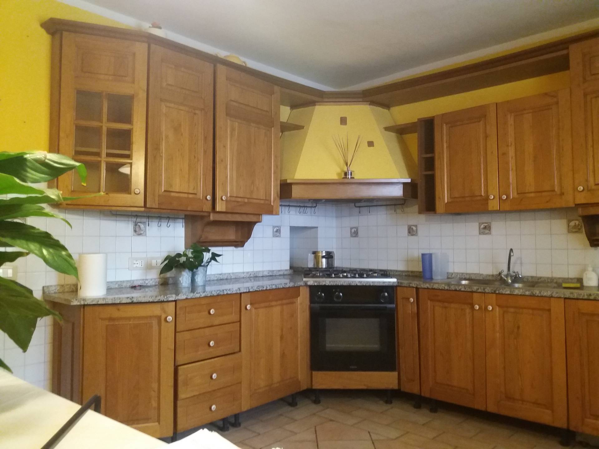 Villa Unifamiliare - Indipendente SAN GIULIANO TERME vendita  Pontasserchio  Megaron Immobiliare - Pisa - Pontedera - Livorno - Lucca