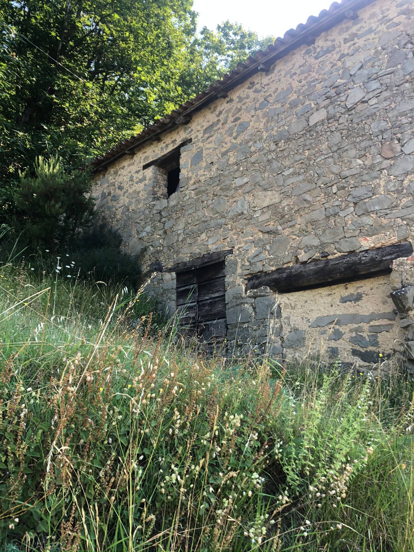 Villa Unifamiliare - Indipendente CASTIGLIONE DI GARFAGNANA vendita  Chiozza  Megaron Immobiliare - Pisa - Pontedera - Livorno - Lucca