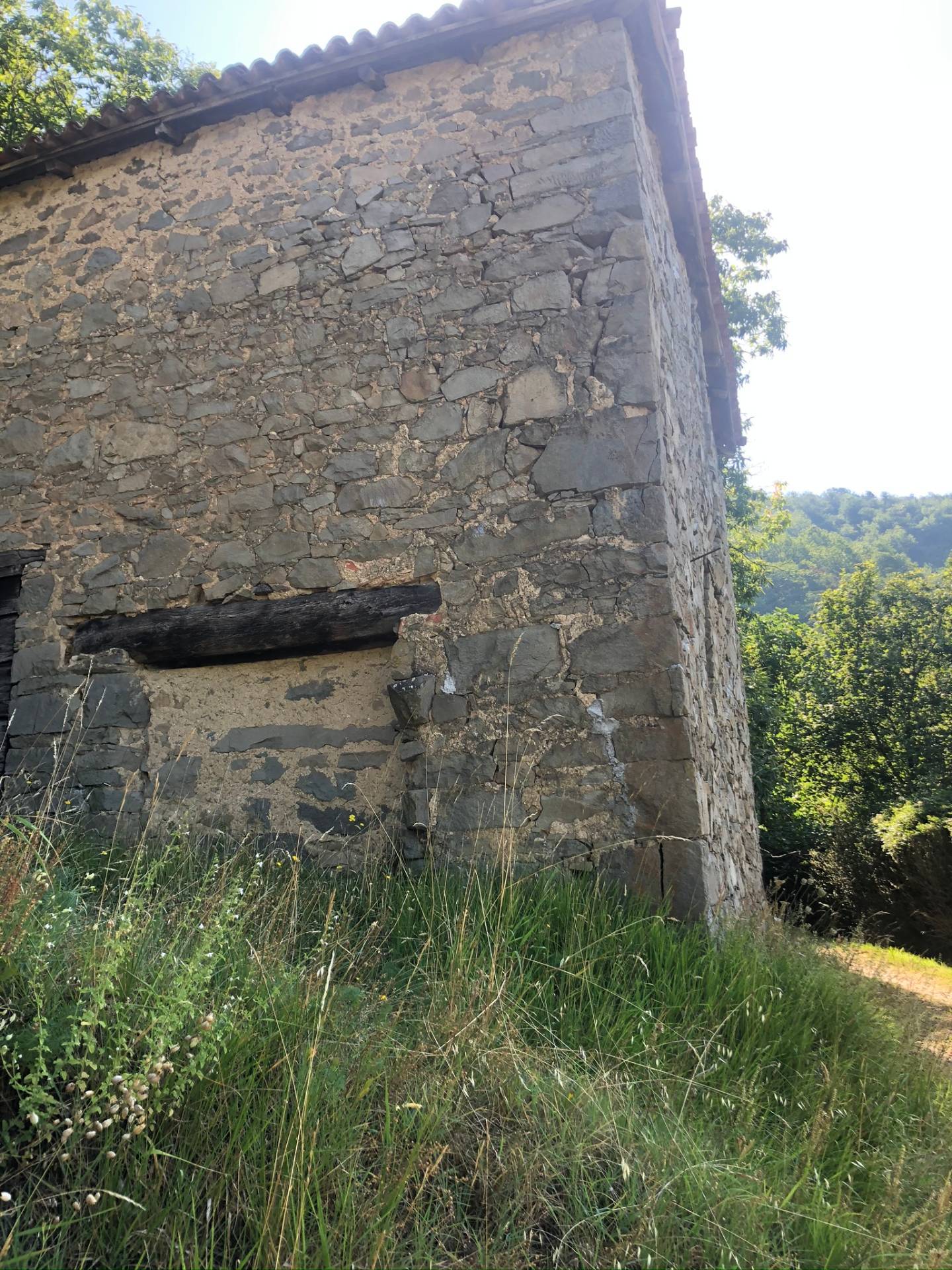 Villa Unifamiliare - Indipendente CASTIGLIONE DI GARFAGNANA vendita  Chiozza  Megaron Immobiliare - Pisa - Pontedera - Livorno - Lucca