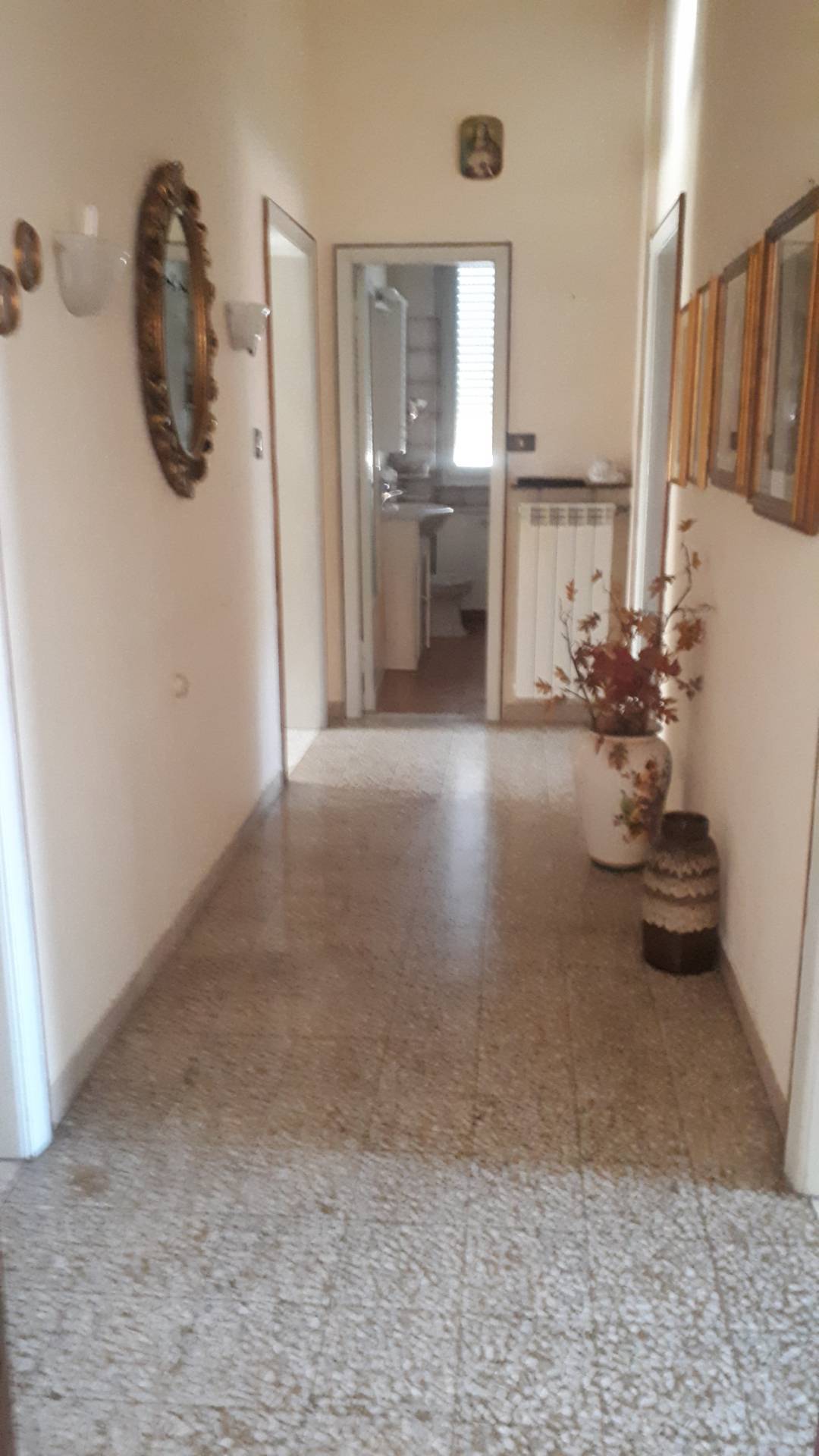 Appartamento LUCCA vendita  San Concordio Contrada  Megaron Immobiliare - Pisa - Pontedera - Livorno - Lucca