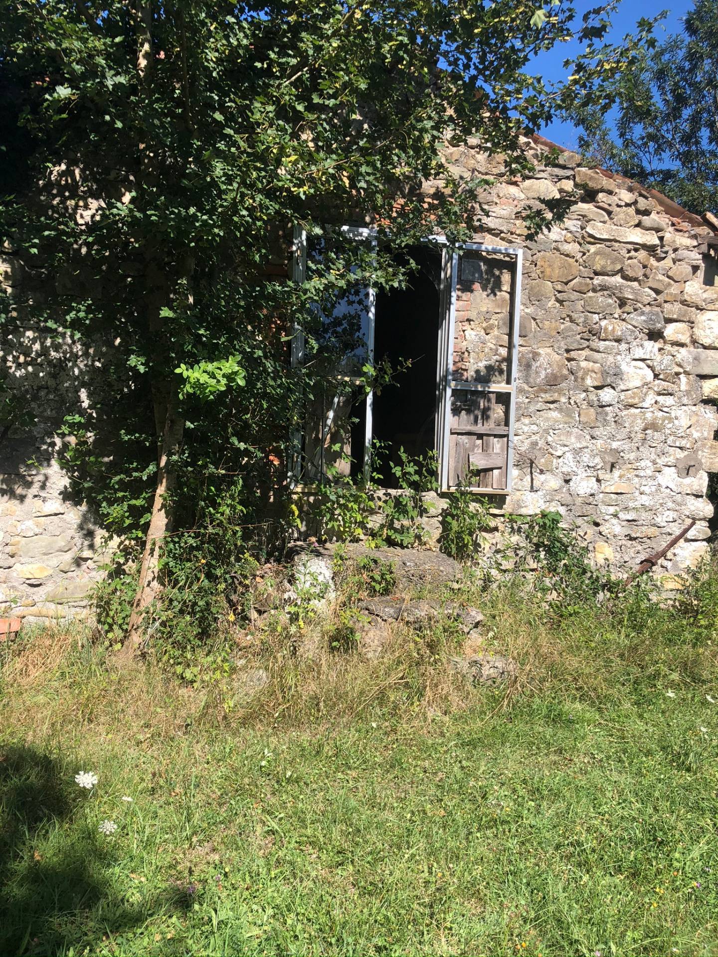 Villa Unifamiliare - Indipendente CAMPORGIANO vendita  Il Poggio  Megaron Immobiliare - Pisa - Pontedera - Livorno - Lucca