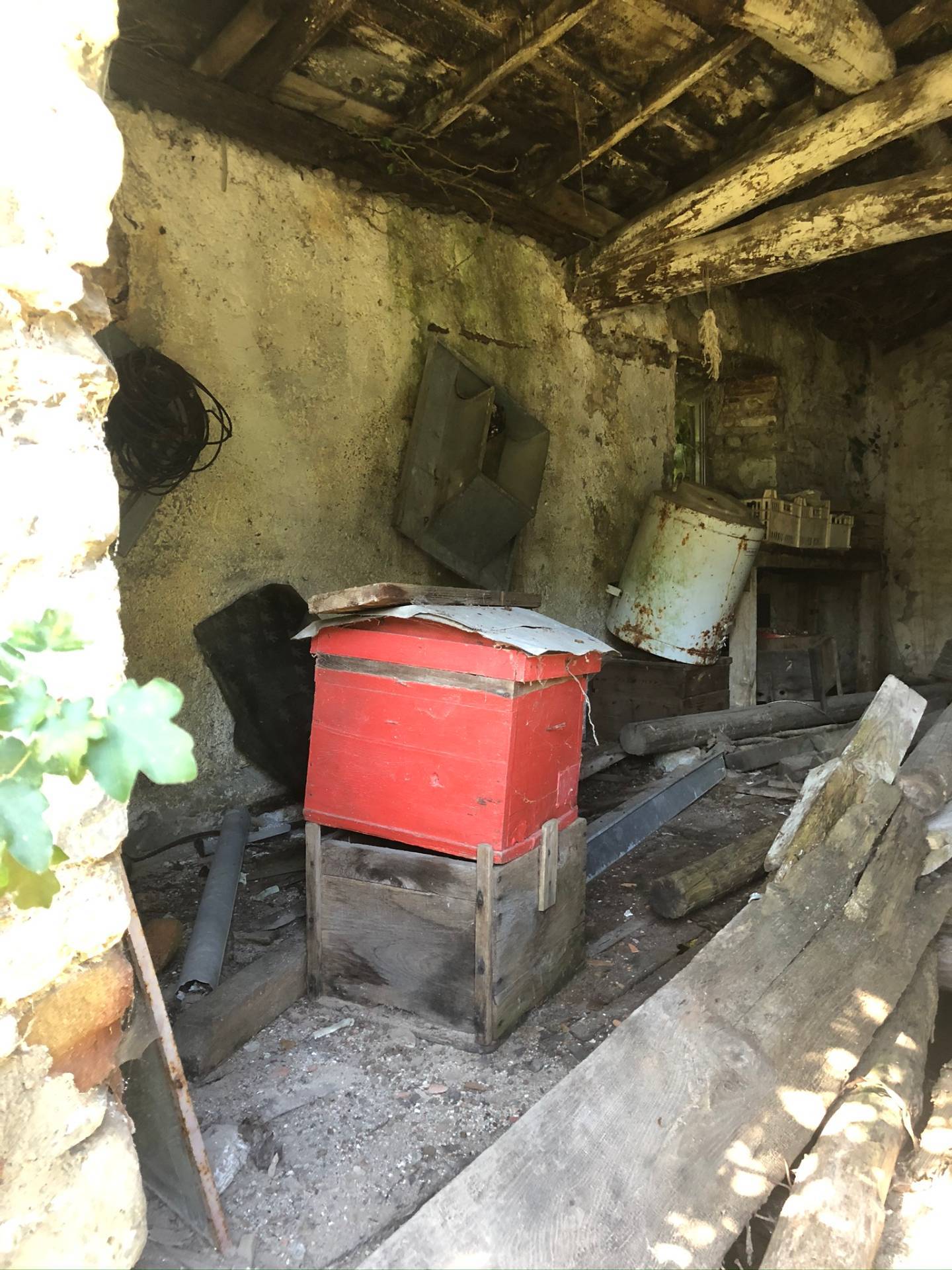 Villa Unifamiliare - Indipendente CAMPORGIANO vendita  Il Poggio  Megaron Immobiliare - Pisa - Pontedera - Livorno - Lucca