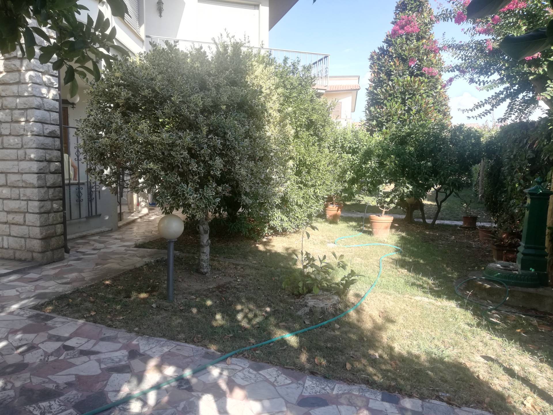  vecchiano vendita quart:  megaron-immobiliare-pisa-pontedera-livorno-lucca