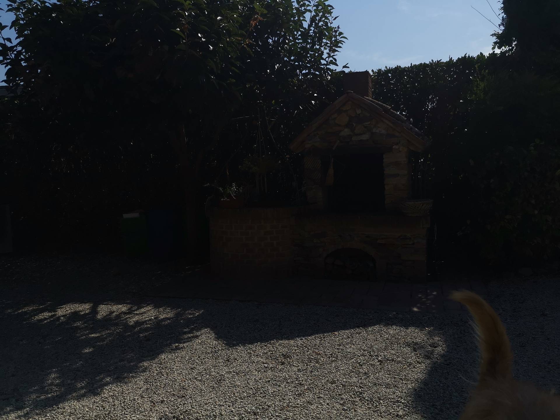 Villa Unifamiliare - Indipendente CALCINAIA vendita  Calcinaia  Megaron Immobiliare - Pisa - Pontedera - Livorno - Lucca