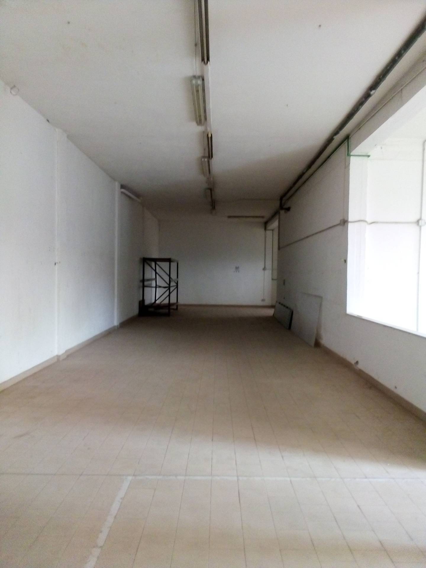 Capannone Commerciale LIVORNO vendita  Picchianti  Megaron Immobiliare - Pisa - Pontedera - Livorno - Lucca