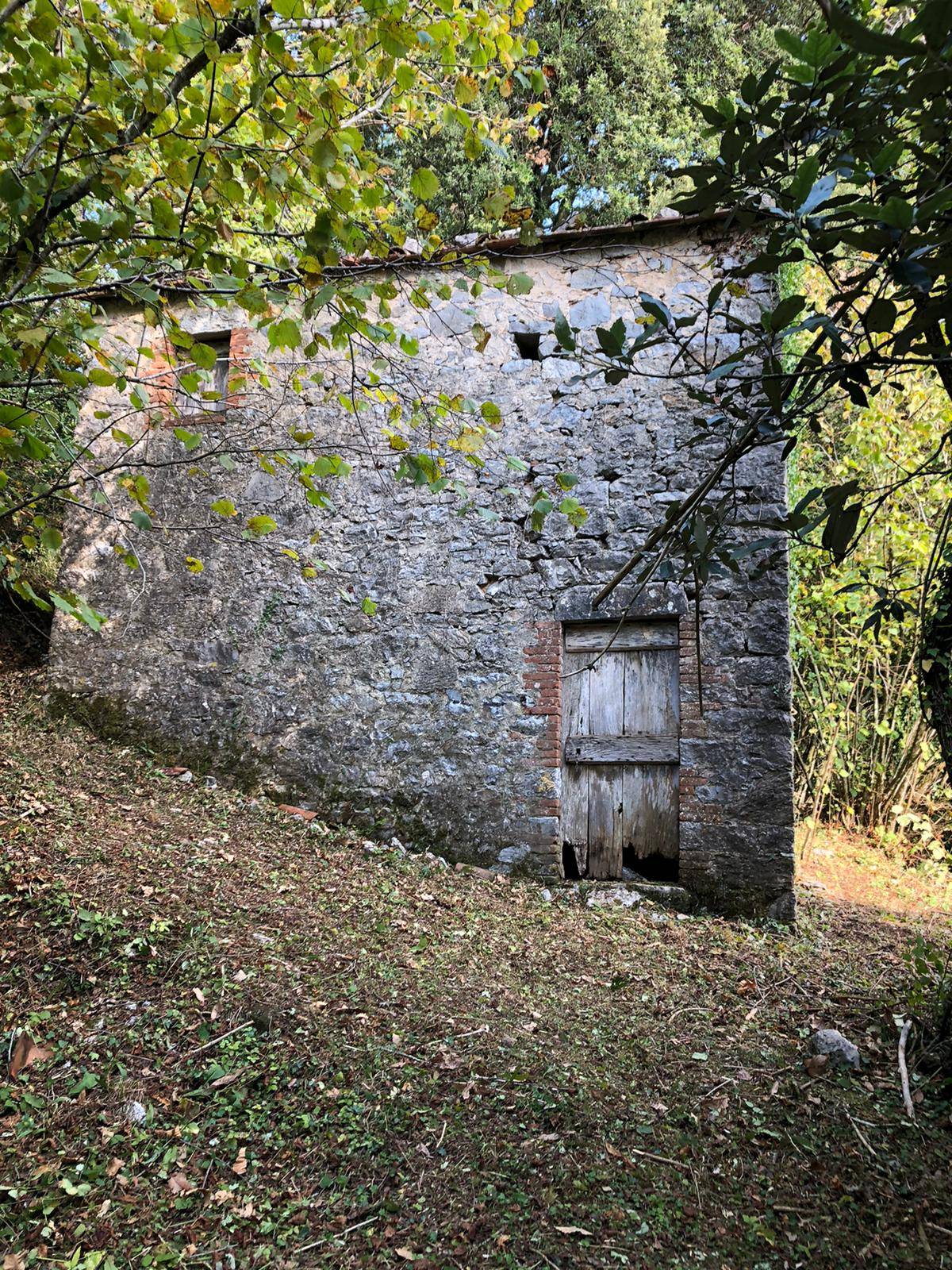 Villa Unifamiliare - Indipendente LUCCA vendita  San Giusto di Brancoli  Megaron Immobiliare - Pisa - Pontedera - Livorno - Lucca