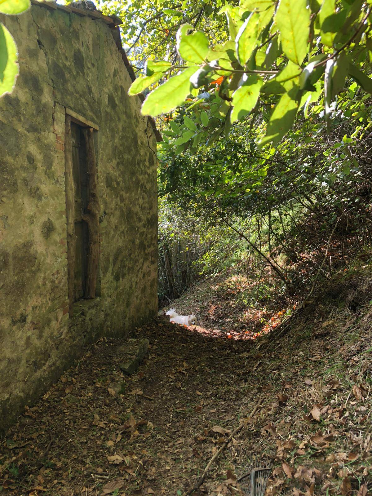 Villa Unifamiliare - Indipendente LUCCA vendita  San Giusto di Brancoli  Megaron Immobiliare - Pisa - Pontedera - Livorno - Lucca