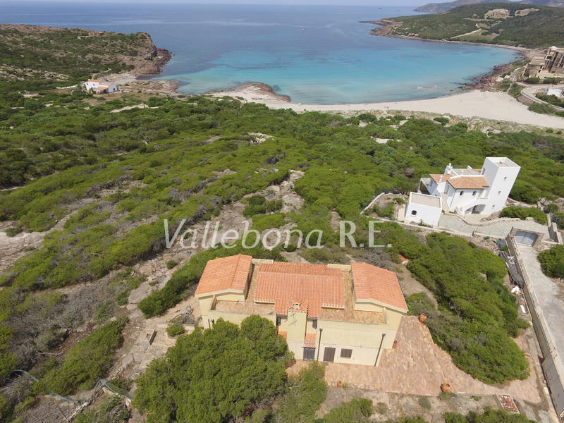 Villa ITALIA vendita  Carloforte fuori paese/Outside town  Vallebona Real Estate srl