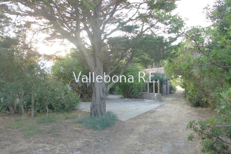 Villa ITALIA vendita  Carloforte fuori paese/Outside town  Vallebona Real Estate srl