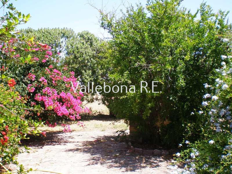 Villa ITALIA vendita  Carloforte fuori paese/Outside town  Vallebona Real Estate srl