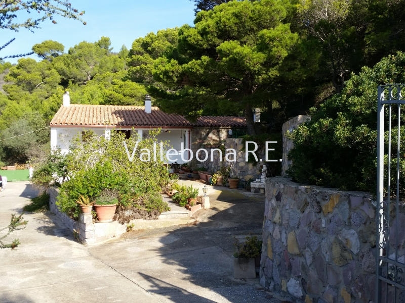 Villa ITALIA vendita  Carloforte fuori paese/Outside town  Vallebona Real Estate srl