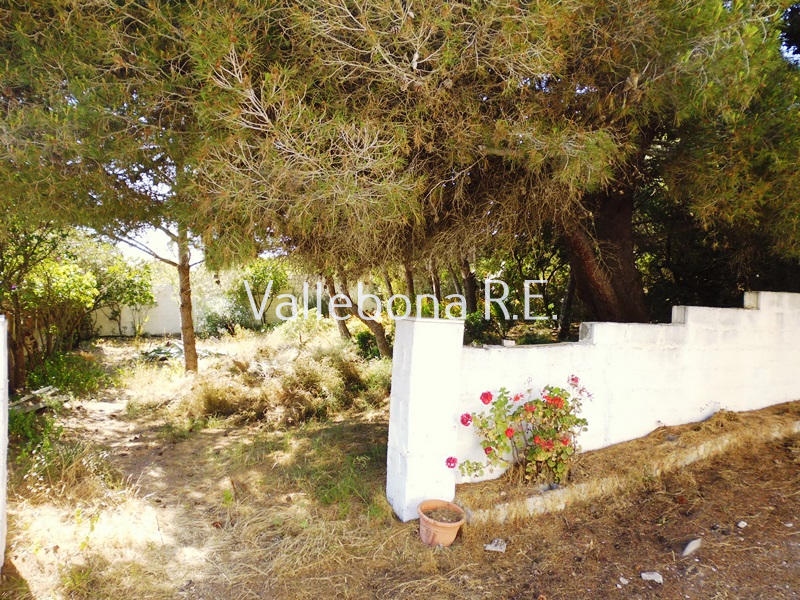 Villa ITALIA vendita  Carloforte fuori paese/Outside town  Vallebona Real Estate srl