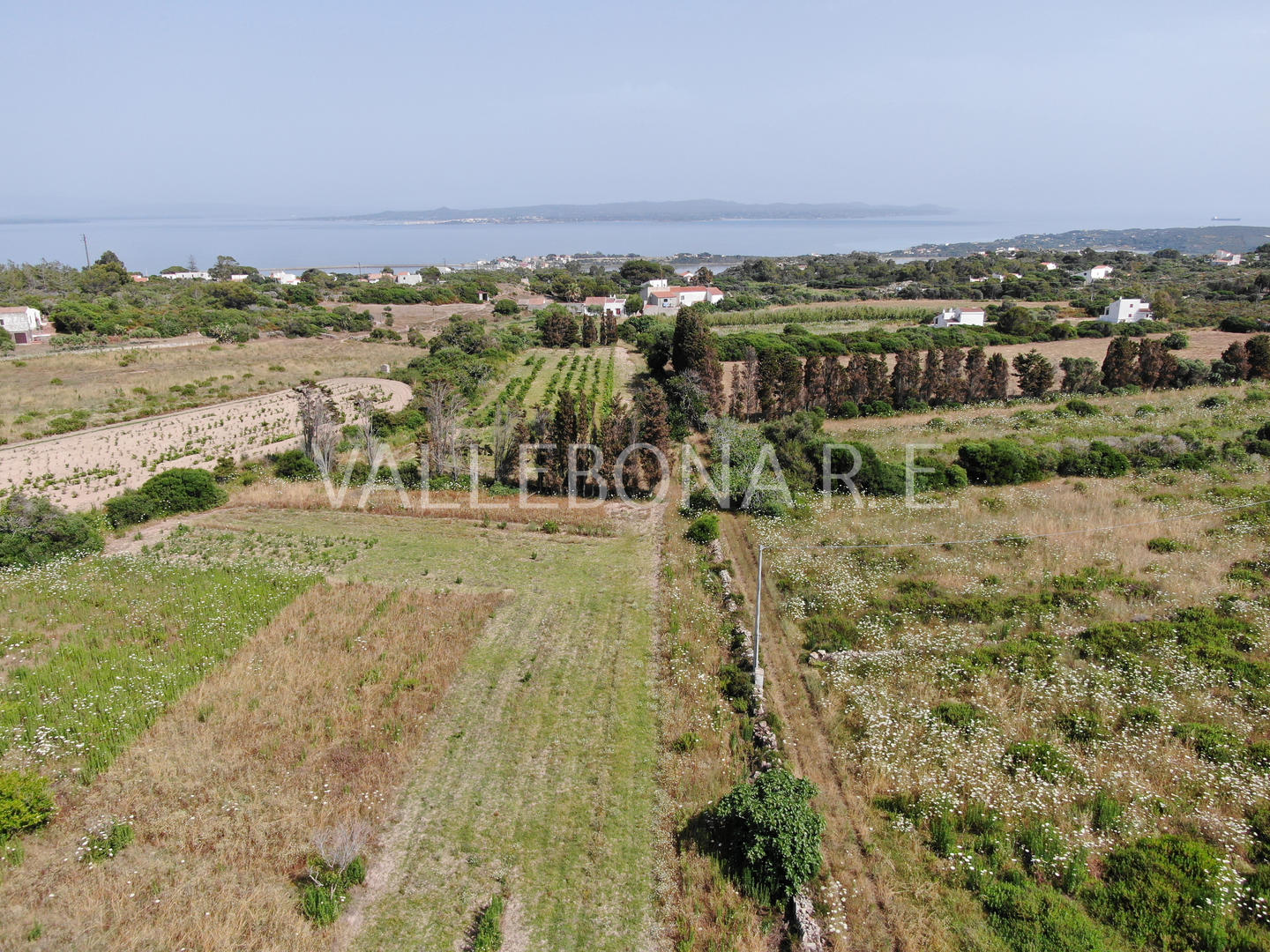 Villa ITALIA vendita  Carloforte fuori paese/Outside town  Vallebona Real Estate srl