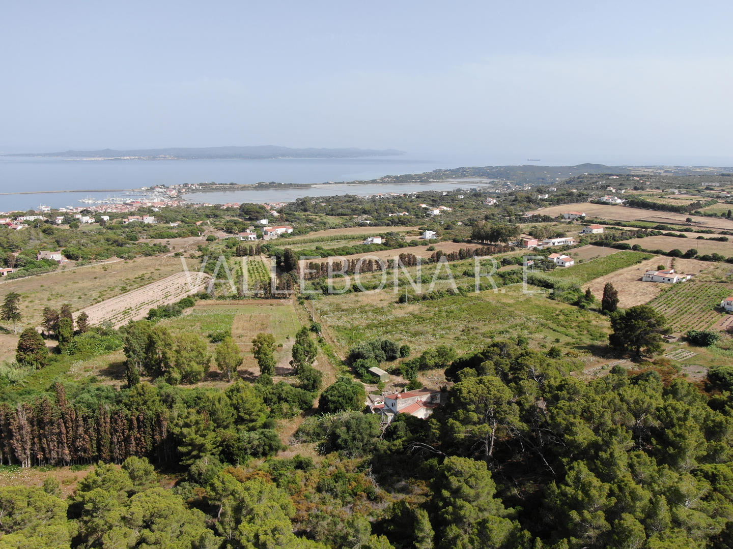 Villa ITALIA vendita  Carloforte fuori paese/Outside town  Vallebona Real Estate srl