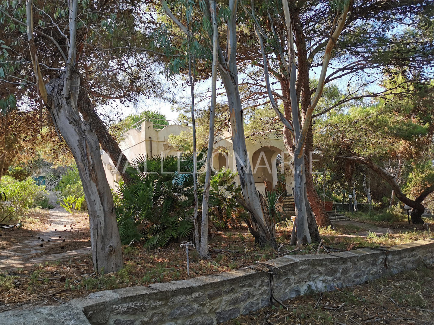 Villa ITALIA vendita  Carloforte fuori paese/Outside town  Vallebona Real Estate srl