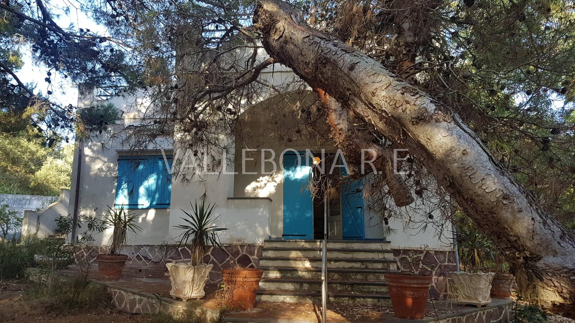 Villa ITALIA vendita  Carloforte fuori paese/Outside town  Vallebona Real Estate srl
