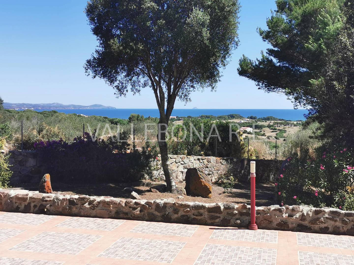 Villa ITALIA vendita  Carloforte fuori paese/Outside town  Vallebona Real Estate srl