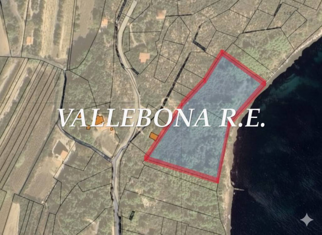 Terreno agricolo in Vendita a Carloforte