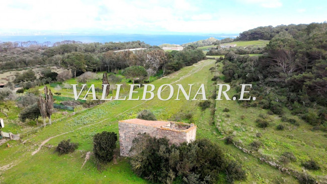 Rustico in Vendita a Carloforte