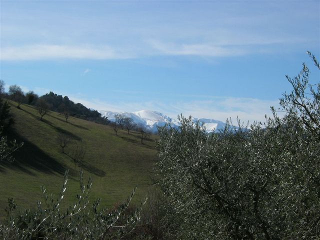 Villa Unifamiliare - Indipendente SERVIGLIANO vendita    Re Casa Immobiliare S.R.L.