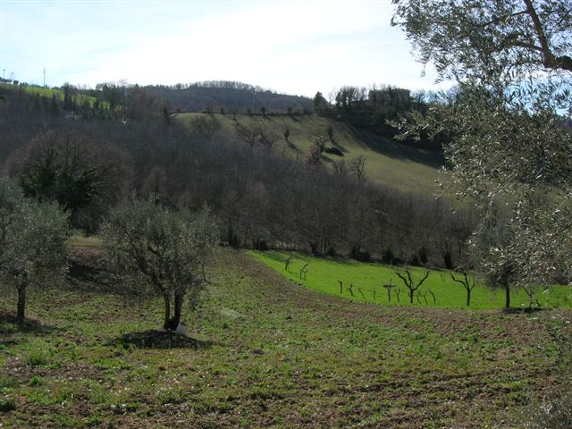 Villa Unifamiliare - Indipendente SERVIGLIANO vendita    Re Casa Immobiliare S.R.L.