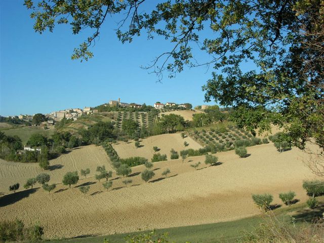 Villa Unifamiliare - Indipendente MONTEGIORGIO vendita    Re Casa Immobiliare S.R.L.