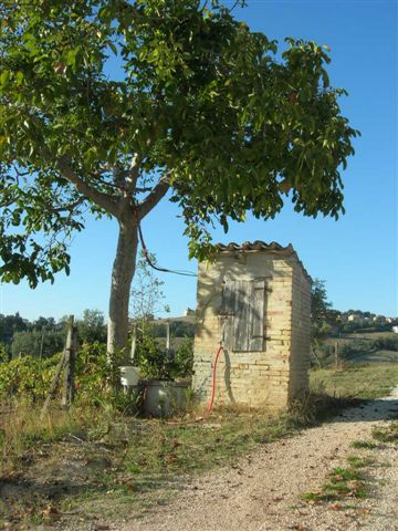 Villa Unifamiliare - Indipendente MONTEGIORGIO vendita    Re Casa Immobiliare S.R.L.