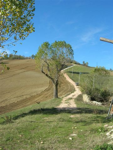 Villa Unifamiliare - Indipendente SANTA VITTORIA IN MATENANO vendita    Re Casa Immobiliare S.R.L.