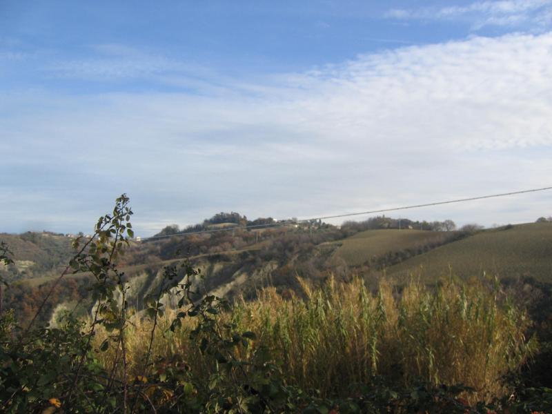 Villa Unifamiliare - Indipendente MONTE VIDON COMBATTE vendita    Re Casa Immobiliare S.R.L.