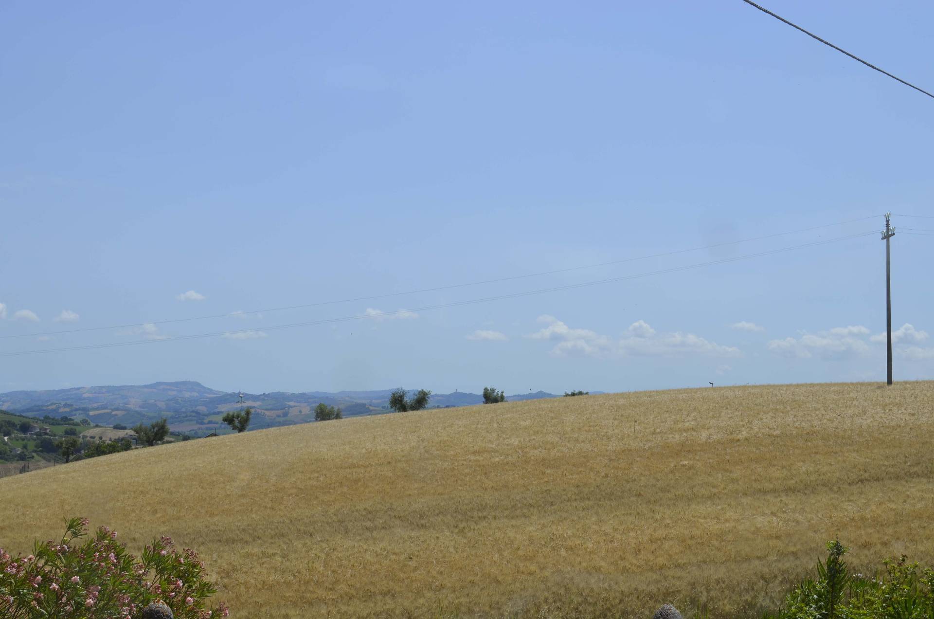 Villa Unifamiliare - Indipendente FALERONE vendita    Re Casa Immobiliare S.R.L.