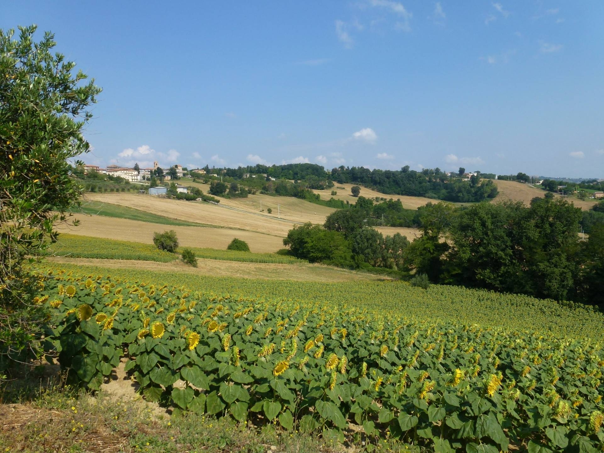 Villa Unifamiliare - Indipendente SERVIGLIANO vendita    Re Casa Immobiliare S.R.L.