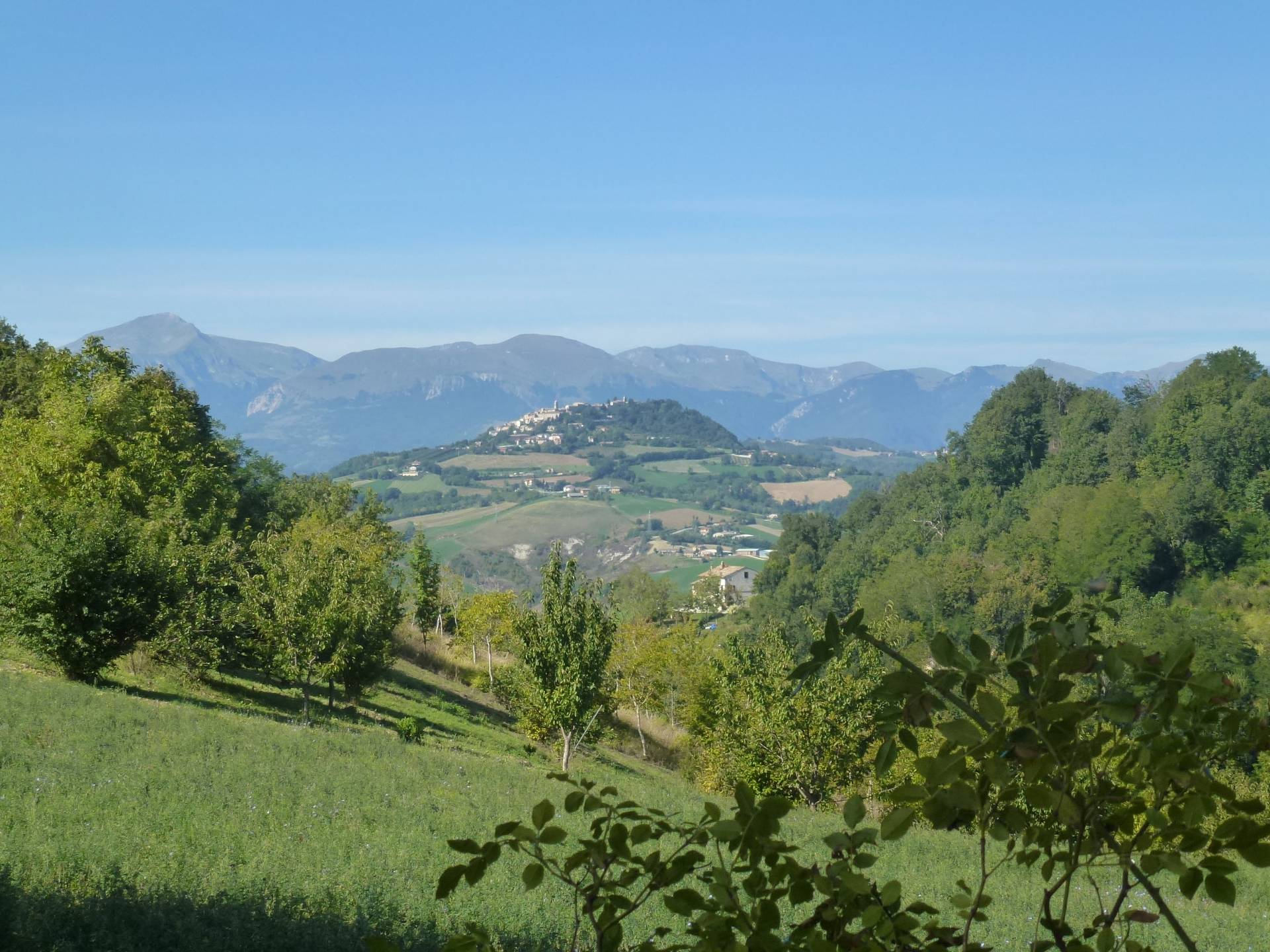 Villa Unifamiliare - Indipendente SERVIGLIANO vendita    Re Casa Immobiliare S.R.L.