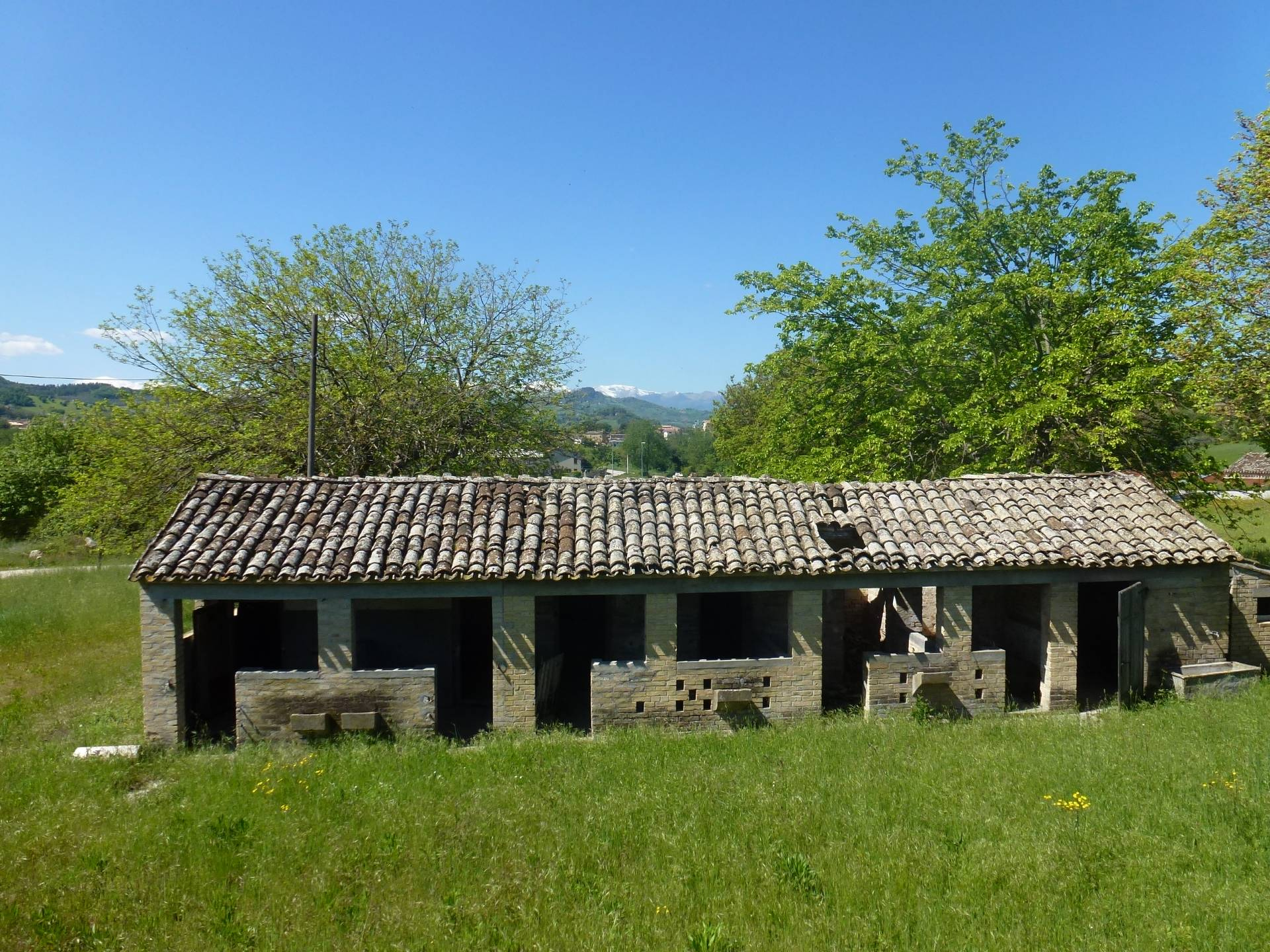 Villa Unifamiliare - Indipendente FALERONE vendita  Piane di Falerone  Re Casa Immobiliare S.R.L.