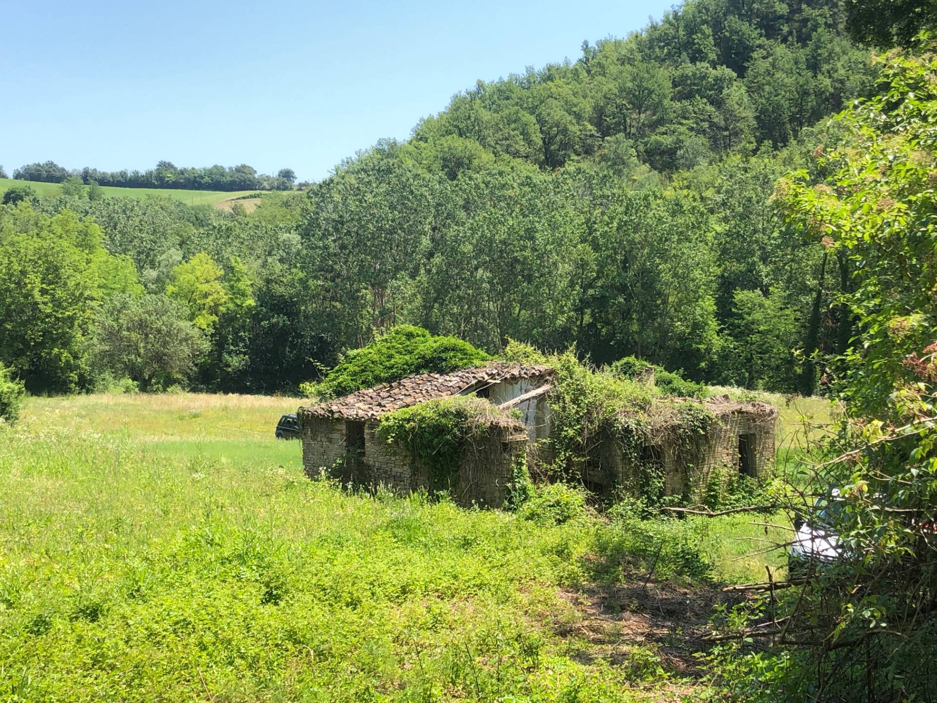 Villa Unifamiliare - Indipendente MONTAPPONE vendita    Re Casa Immobiliare S.R.L.