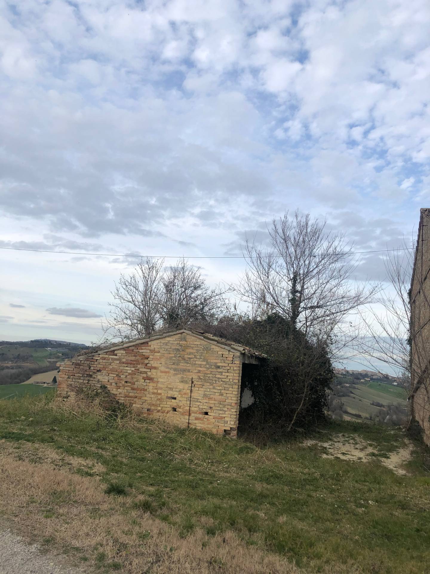 Villa Unifamiliare - Indipendente MONTOTTONE vendita  Eschito  Re Casa Immobiliare S.R.L.