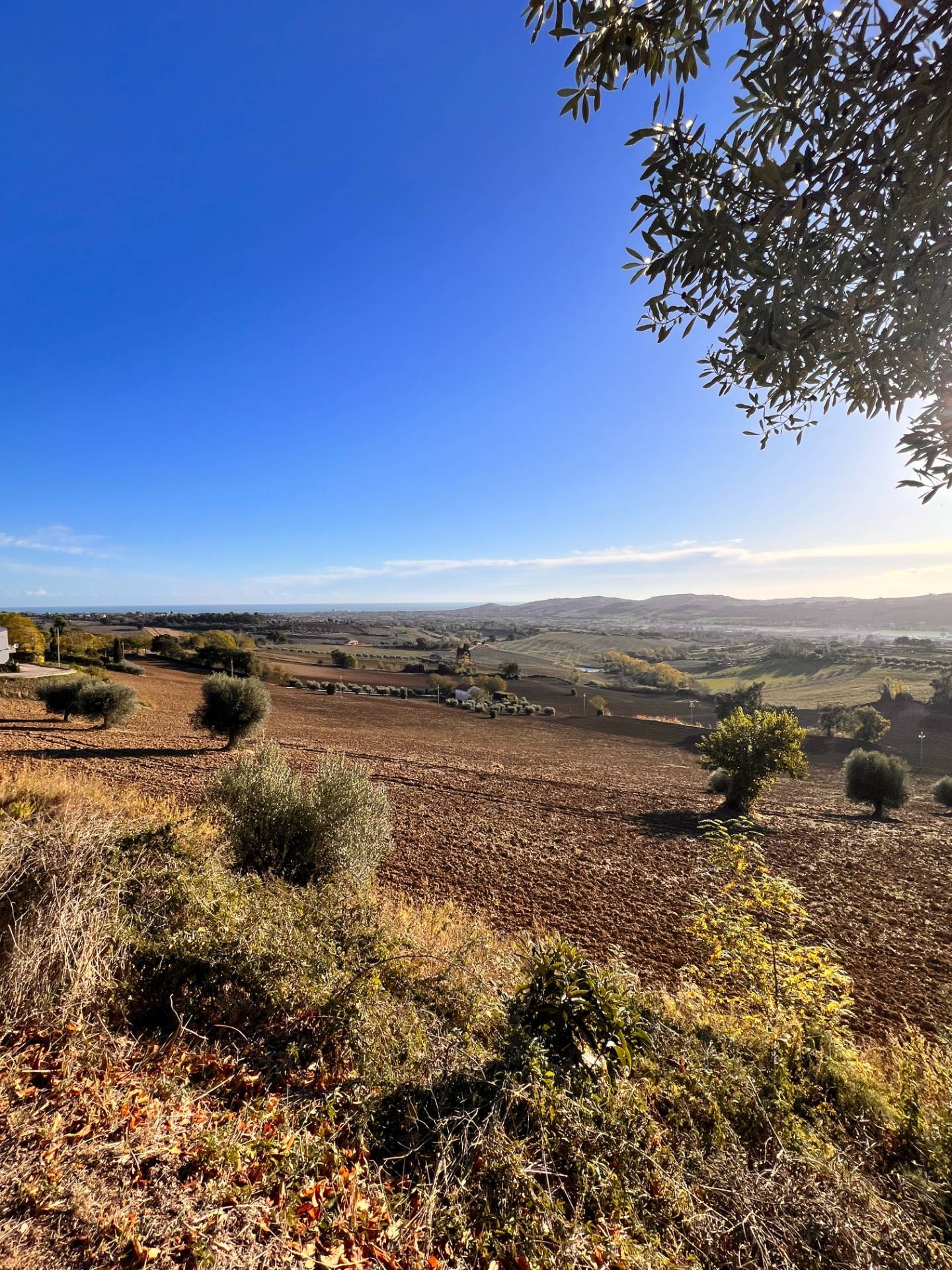 Foto - Terreno In Vendita Monte Urano (fm)