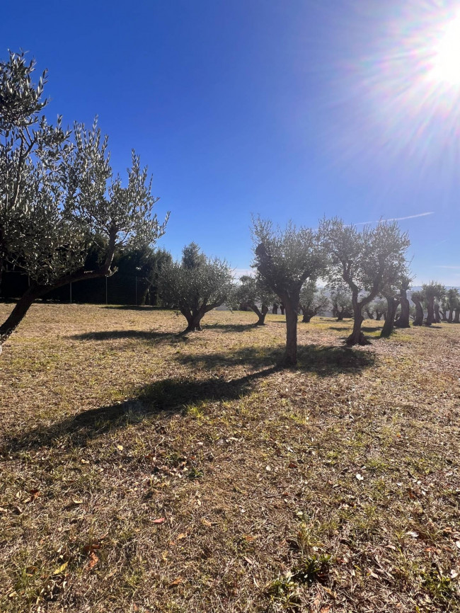 Attività commerciale in vendita a Recanati (MC)