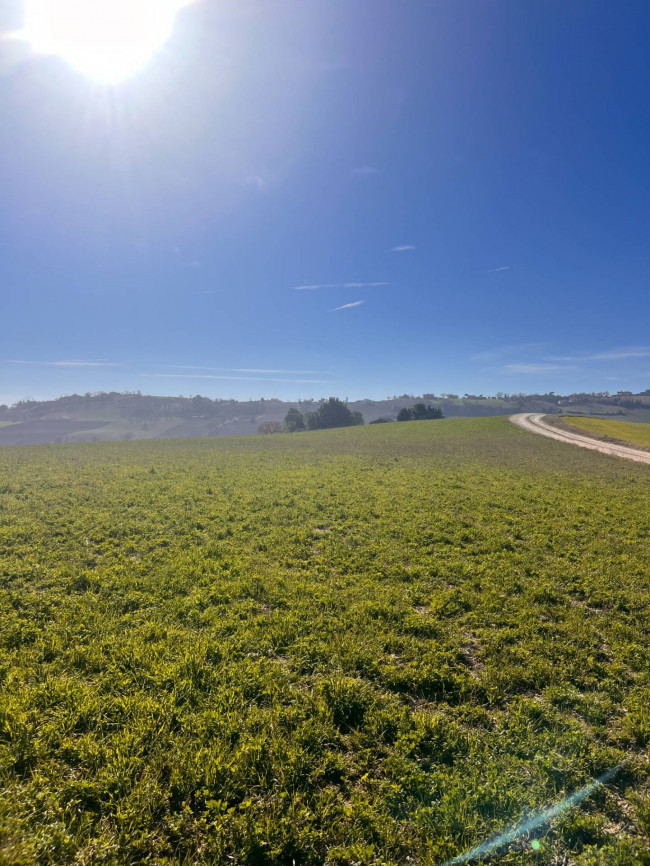 Terreno agricolo in vendita a Recanati (MC)