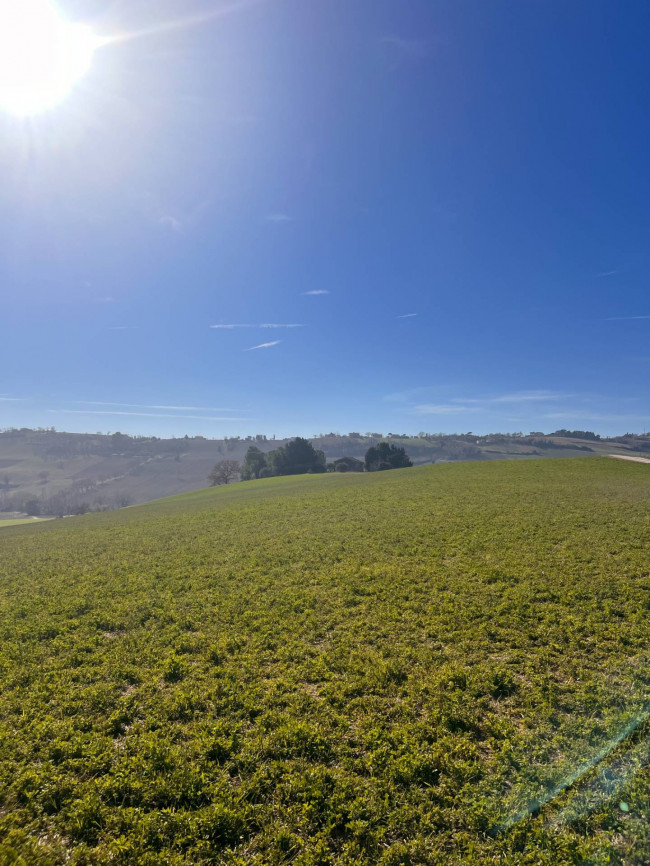 Terreno agricolo in vendita a Recanati (MC)