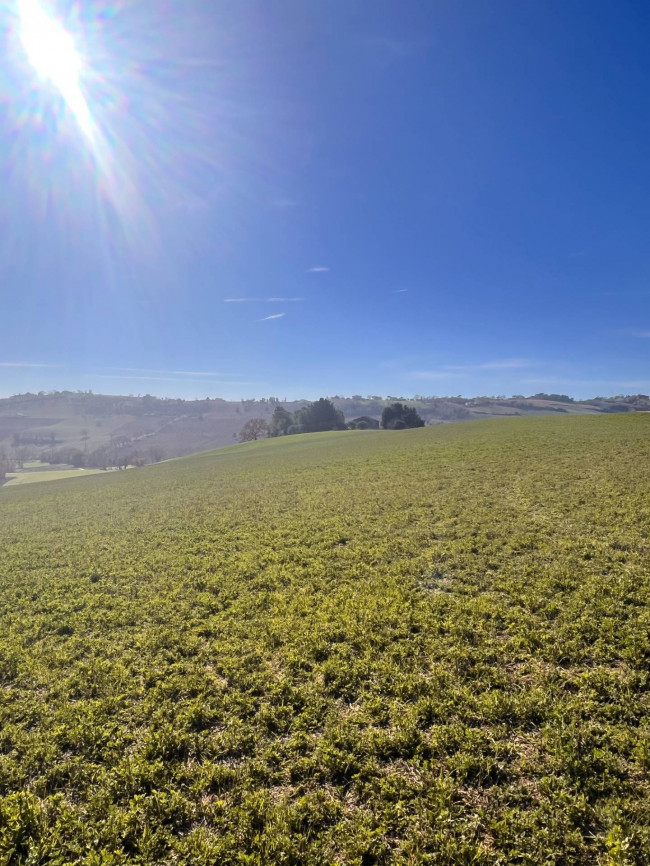 Terreno agricolo in vendita a Recanati (MC)