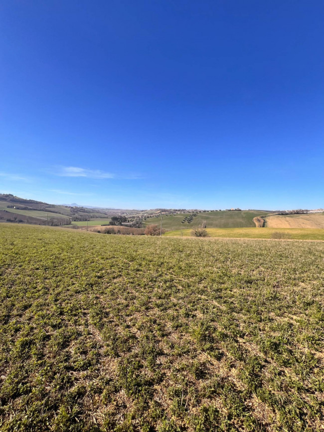 Terreno agricolo in vendita a Recanati (MC)