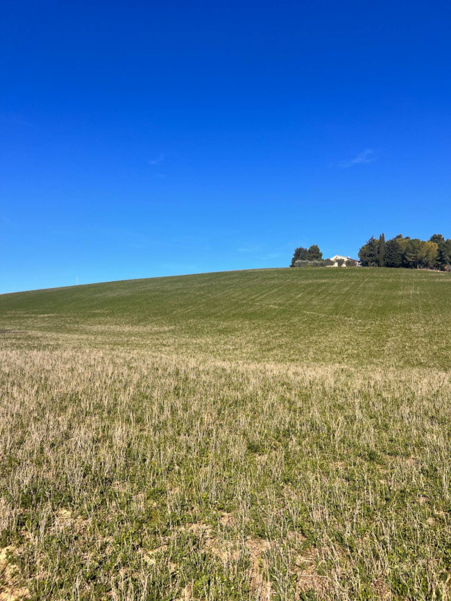 Terreno agricolo in vendita a Recanati (MC)