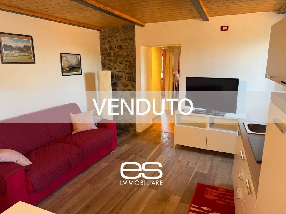 Appartamento in vendita a Perledo
